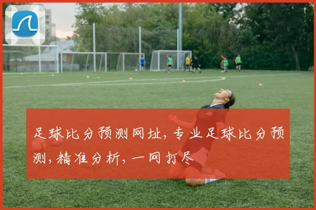 足球比分预测网址,专业足球比分预测,精准分析,一网打尽