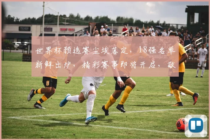 世界杯预选赛尘埃落定，18强名单新鲜出炉，精彩赛事即将开启，敬请期待