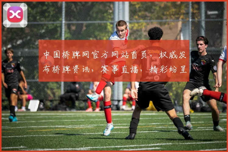 中国桥牌网官方网站首页，权威发布桥牌资讯，赛事直播，精彩纷呈，尽在中国桥牌网，快来关注